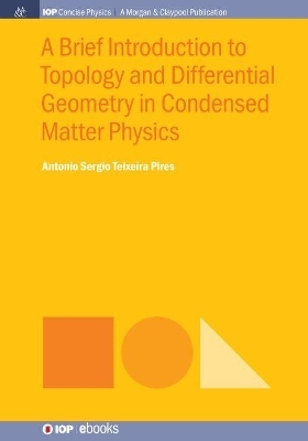 A Brief Introduction to Topology and Differential Geometry in Condensed Matter Physics - Antonio Sergio Teixeira Pires