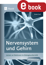 Nervensystem und Gehirn - Erwin Graf