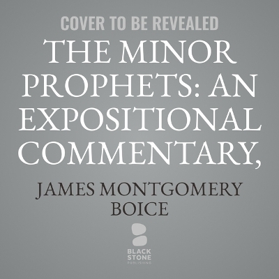 The Minor Prophets: An Expositional Commentary, Volume 2 - James Montgomery Boice