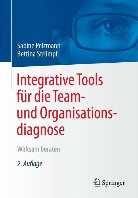 Integrative Tools für die Team- und Organisationsdiagnose -  Sabine Pelzmann,  Bettina Strümpf