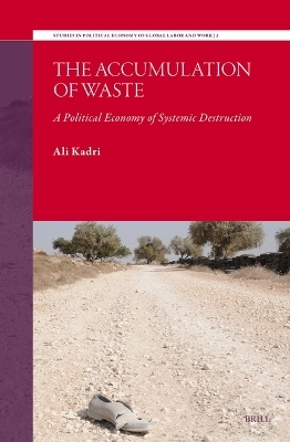 The Accumulation of Waste - Ali Kadri