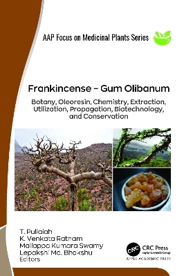 Frankincense – Gum Olibanum - 