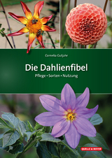 Die Dahlienfibel - Cornelia Gutjahr