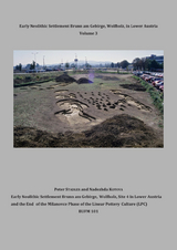 Early Neolithic Settlement Brunn am Gebirge, Wolfholz, in Lower Austria Volume 3 (BUFM 101) - Peter Stadler, Nadezhda Kotova
