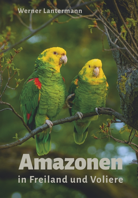 Amazonen in Freiland und Voliere