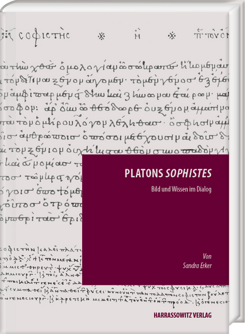 Platons „Sophistes“ - Sandra Erker