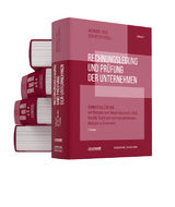 Rechnungslegung und Prüfung der Unternehmen (Gesamtausgabe) - Anzinger, Heribert M.; Oser, Peter; Schlotter, Carsten