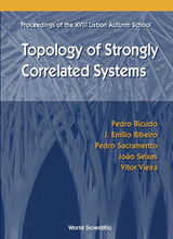 TOPOLOGY OF STRONGLY CORRELATED SYSTEMS, PROCS OF THE XVIII LISBON AUTUMN SCHOOL - 