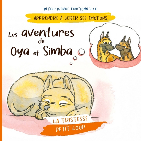 Les aventures de Oya et Simba - Pierre Fasquelle, Christine Fasquelle, Sophie Pencenat