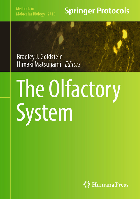 The Olfactory System - 
