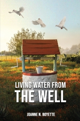 Living Water from the Well - Joanne N Boyette