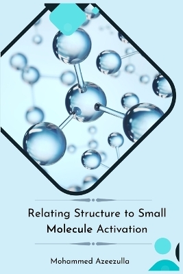 Relating Structure to Small Molecule Activation -  Mohammed Azeezulla