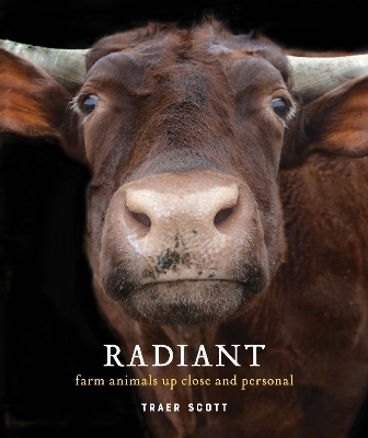 Radiant - 