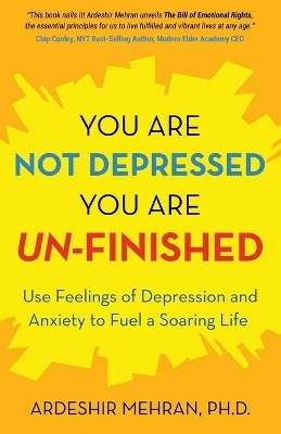 You Are Not Depressed. You Are Un-Finished. - Ardeshir Mehran