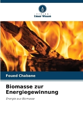 Biomasse zur Energiegewinnung - Foued Chabane