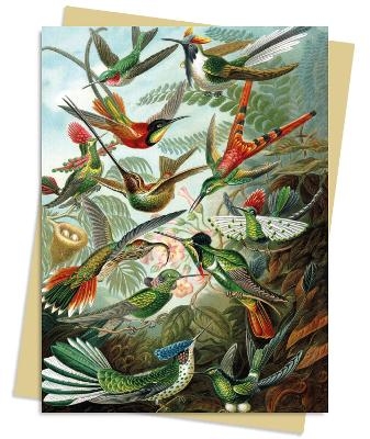 Ernst Haeckel: Hummingbirds Greeting Card Pack - 