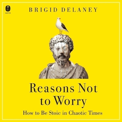 Reasons Not to Worry - Brigid Delaney