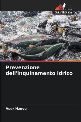 Prevenzione dell'inquinamento idrico - Aser Nzovu