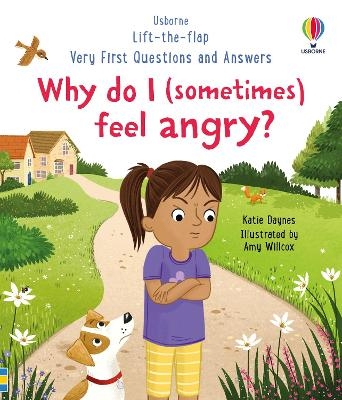 Very First Questions and Answers: Why do I (sometimes) feel angry? - Katie Daynes