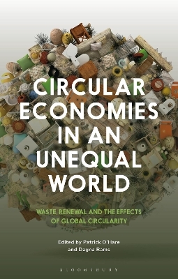 Circular Economies in an Unequal World - 