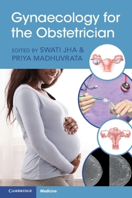 Gynaecology for the Obstetrician - 