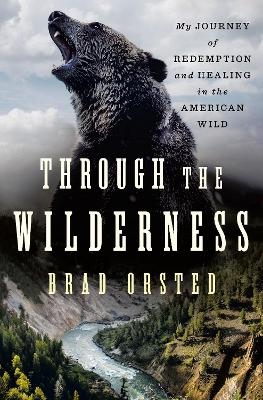 Through the Wilderness - Brad Orsted