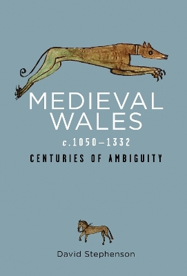 Medieval Wales c.1050-1332 - David Stephenson