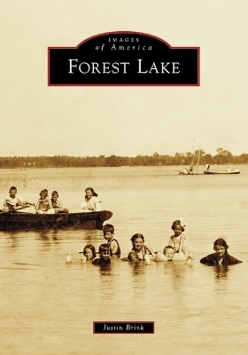 Forest Lake - Justin Brink