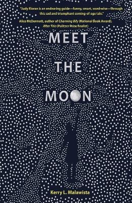 Meet the Moon - Kerry L. Malawista