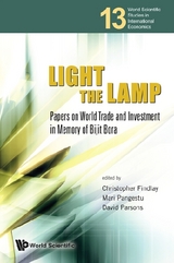 Light The Lamp: Papers On World Trade And Investment In Memory Of Bijit Bora - 