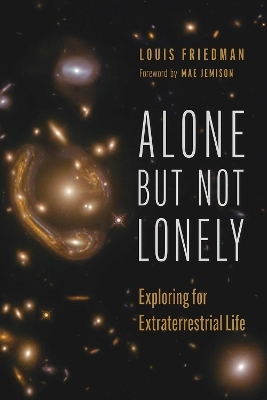 Alone but Not Lonely - Louis Friedman