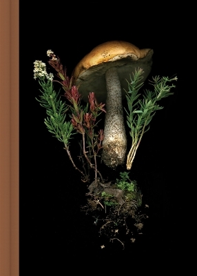 Deep Dark Forest Mushroom Journal - Julya Hajnoczky