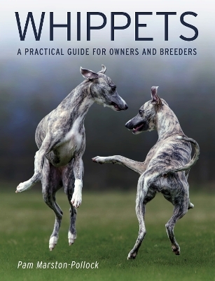 Whippets - Pam Marston-Pollock