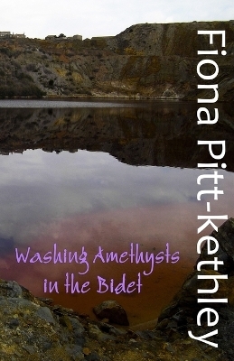 Washing Amethysts in the Bidet - Fiona Pitt-Kethley