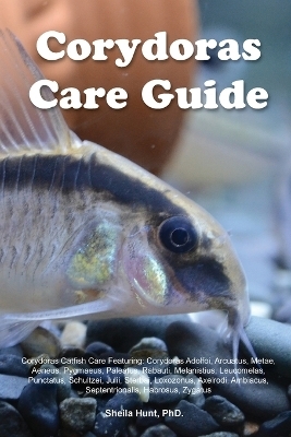 Corydoras Care Guide. Corydoras Catfish Care Featuring - Sheila Hunt