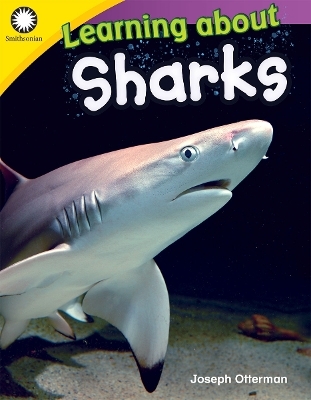 Learning about Sharks - Joseph Otterman