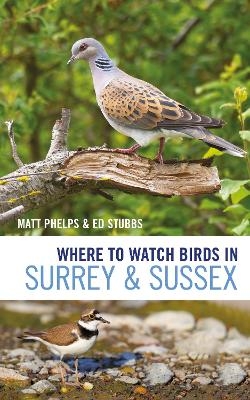 Where to Watch Birds in Surrey and Sussex - Matthew Phelps, Ed Stubbs