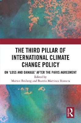 The Third Pillar of International Climate Change Policy - 