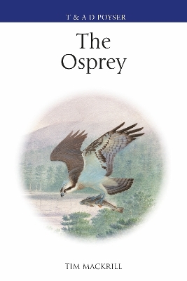 The Osprey - Tim Mackrill