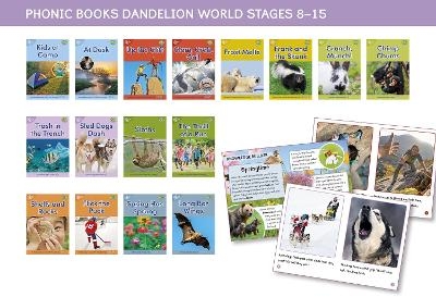 Phonic Books Dandelion World Stages 8-15 -  Phonic Books