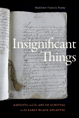 Insignificant Things - Matthew Francis Rarey