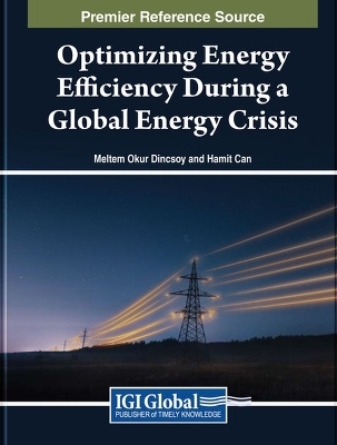 Optimizing Energy Efficiency During a Global Energy Crisis - 