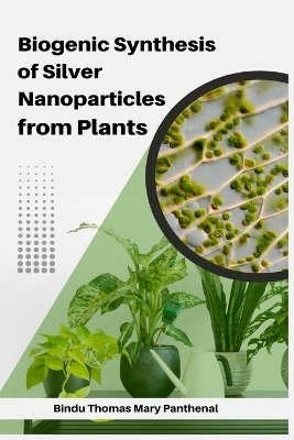 Biogenic Synthesis of Silver Nanoparticles from Plants - Bindu Thomas Mary Panthenal