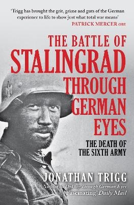 The Battle of Stalingrad Through German Eyes - Jonathan Trigg