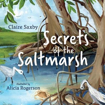 Secrets of the Saltmarsh - Claire Saxby