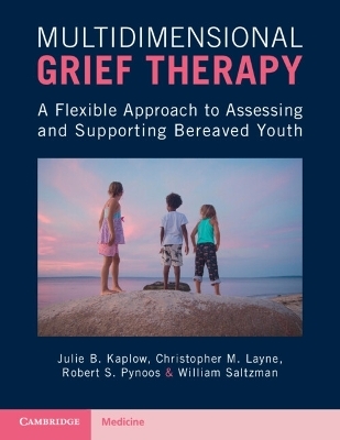 Multidimensional Grief Therapy - Julie B. Kaplow, Christopher M. Layne, Robert S. Pynoos, William Saltzman