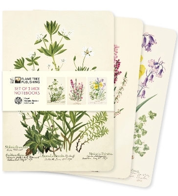 Royal Botanic Garden Edinburgh Set of 3 Midi Notebooks - 