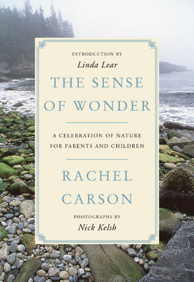 Sense of Wonder -  Rachel Carson