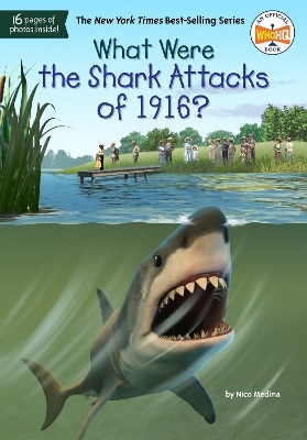 What Were the Shark Attacks of 1916? - Nico Medina,  Who HQ