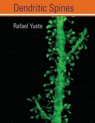 Dendritic Spines - Rafael Yuste